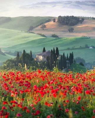 Топ самых красивых мест северной Италии. Inna Zaytseva Photography /  Germany, Switzerland, Italy and Spain