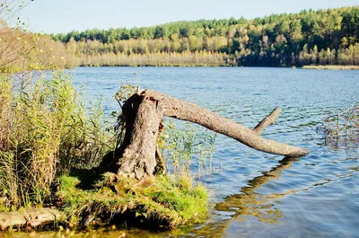 В Инзенском районе Ульяновской области обустроили берег озера Юлово: фото  Улпресса - все новости Ульяновска