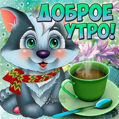 Доброе утро! Хорошего дня!🤗 | Богиня с юмором | ВКонтакте