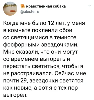 Прикольные картинки и шутки из сети