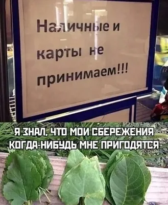 Просто прикольные картинки с надписями