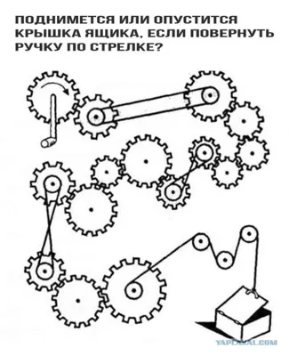 Юморные картинки фотографии