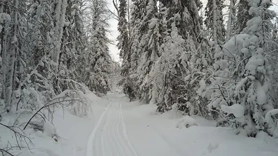 Не снежно, но можно. Горнолыжные комплексы, на которые стоит съездить в  новогодние праздники