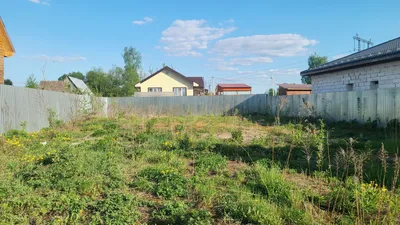 Семейная новогодняя фотосессия в Ивантеевке в фотостудии. Свадебный и  семейный фотограф Виктория Носачёва. Щелково, Москва и