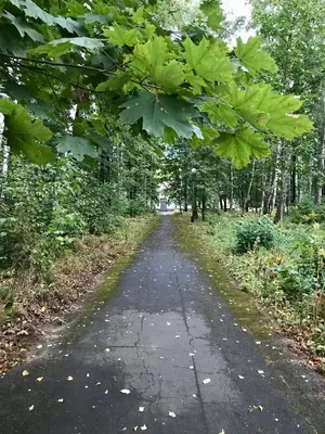 Ивантеевский городской суд Московской области