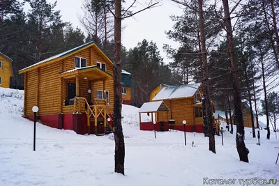 Иволга Ульяновск фото фотографии