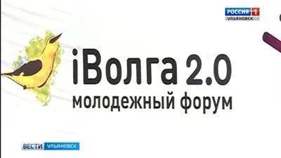 Кемпинг \"Иволга\" - Отдых в Калужской области 2023