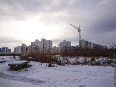 Утренний пожар в Иволгино уничтожил три иномарки. Жители заявляют о поджоге  | Новости Саратова и области — Информационное агентство \"Взгляд-инфо\"