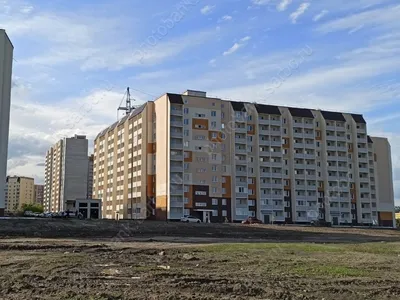 Пожар в поселке Иволгино: местные жители жалуются, что огонь никто не тушит  — ИА «Версия-Саратов»