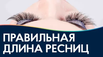 Фотография ресниц l с эффектом длинных ресниц