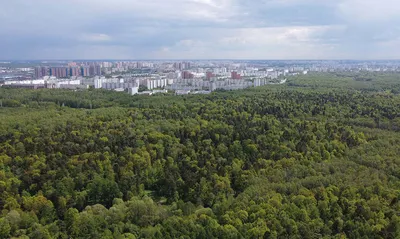 ЖК Апартаменты бизнес-класса Измайловский парк Москва от официального  застройщика ГК Новая Жизнь: цены и планировки квартир, ход строительства,  срок сдачи, отзывы покупателей, ипотека, акции и скидки — Домклик