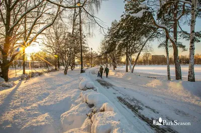 Измайловский парк культуры и отдыха, парк культуры и отдыха, аллея Большого  Круга, 7, Москва — Яндекс Карты