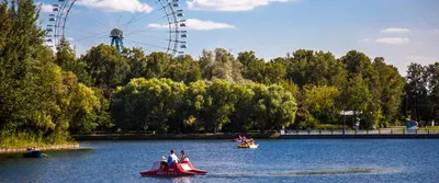 Измайловский парк культуры и отдыха (Москва - Московская область)