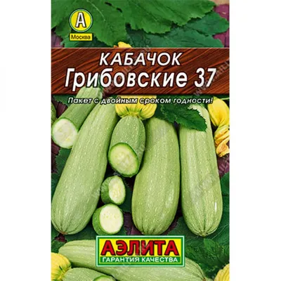 Купить кабачок белоплодные 1,5 г по оптимальной цене. Строительные  материалы оптом и в розницу с доставкой