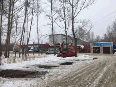 Говинда, Омск - «Кафе Говинда хорошее кафе но доставка дорогая» | отзывы