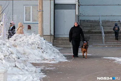 Отдых в Томской области в 2024 году: что посмотреть, когда ехать и как  добраться, цены