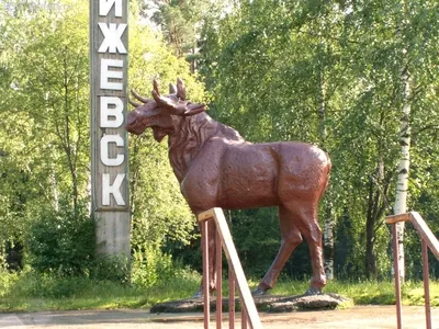 Кафе «София» в Ижевске | Доставка шашлыка в Ижевске. Торжества