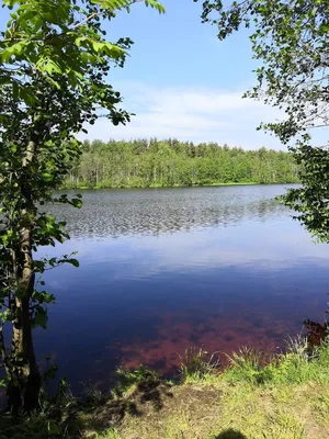 Рестораны и кафе, Сормовский район в Нижнем Новгороде, вместимость 20 – 29  чел. в Нижнем Новгороде — 11 ресторанов для банкета