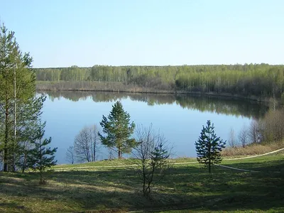 Алые паруса, кафе, Удмуртская ул., 2А, Нижний Новгород — Яндекс Карты