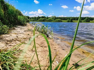 Новогодний корпоратив 2023 (2024) в Нижнем Новгороде: кафе и рестораны на  Новый год 2024 Бронируем заранее вместе с BanketNN.RU