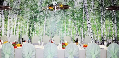 Две свадебные арки на выбор готово предложить костромским молодожёнам кафе « Валенок» - KP.RU