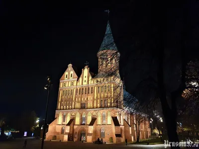 Новогодние приключения на западе: Калининград, Гданьск и окрестности  Калининград в январе. Рыбная деревня, остров Канта, Кафедральный собор |  Аванте-НН