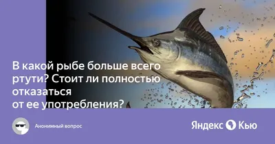 Медики назвали сорта рыбы, которые не стоит покупать ни при каких  обстоятельствах