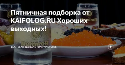 Приколы на kaifolog.ru 2024 | ВКонтакте