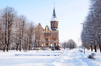 Куда сходить бесплатно в Калининграде. Часть 1: музеи и выставки - My  Little Kaliningrad