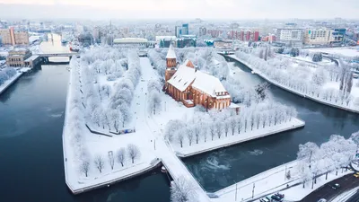 Уехавшие: хабаровчанин о переезде в Калининград и жизни в городе (ФОТО) —  Новости Хабаровска