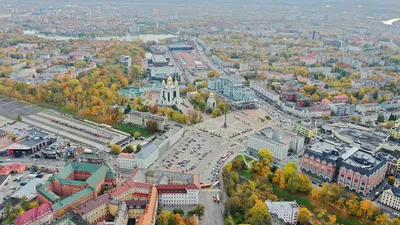 Власти Калининграда опубликовали программу Дня города - Праздники - Афиша  Калининграда - Новый Калининград.Ru