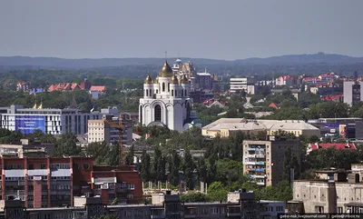 Администрация ГО \"Город Калининград\". Город - за сутки