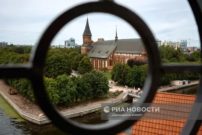 Проклятые земли, рыцари и руины. Чем живет современный Калининград и как  здесь провести осенние каникулы: Путешествия: Моя страна: Lenta.ru