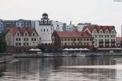 Калининград обогнал Сочи по популярности у туристов в Новогодние праздники