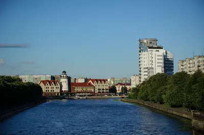 Калининград кенигсберг фото фотографии