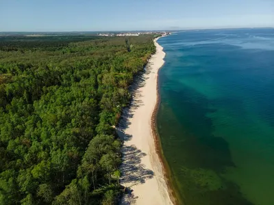 Калининград куршская коса фото фотографии