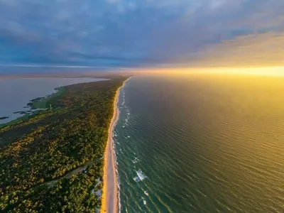 В Роспотребнадзоре объяснили, почему позеленела вода в Балтийском море -  РИА Новости, 22.07.2022