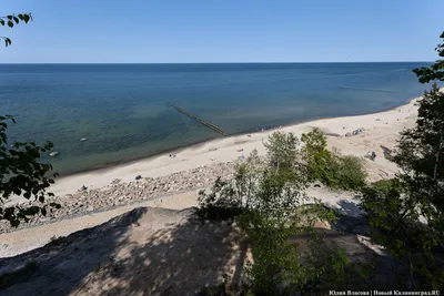 Отдых на Балтийском море. Что нужно знать туристу, приезжающему в  Калининградскую область. | Мой дом - Калининград | Дзен