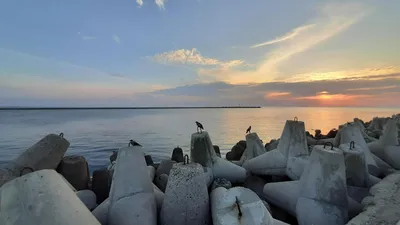 Балтийское море Калининград Калининградская область Зеленоградск побережье  Россия foto de Stock | Adobe Stock