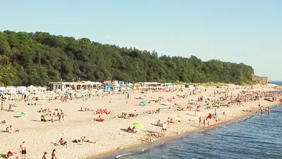 Названы пляжи в Калининградской области, где официально разрешено купаться  — Вести-Калининград
