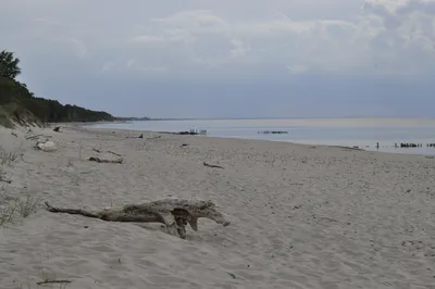 В Калининградской области назвали пляжи, где морская вода теплее |  Калининградская область | ФедералПресс