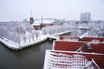 За ночь Калининград замело снегом. Вот как выглядит город сегодня (фото)