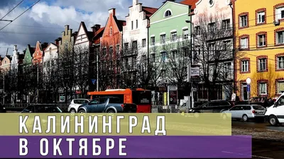 Куда переехать жить в России: переезд на ПМЖ в Калининград | ТК  «АНД-Логистика»