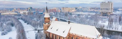 Отдых в Калининграде в декабре 2024: цены, погода, куда сходить, что  посмотреть