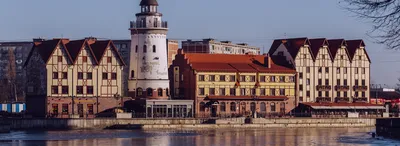 Авиабилеты в Калининград в декабре: цены, расписание рейсов | Купить  дешевый билет на самолет в Калининград в декабре – Уральские Авиалинии
