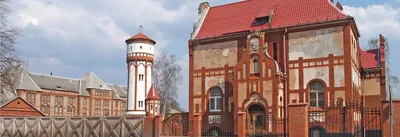 Новый год 2024 в Калининграде: где встретить, куда сходить, как добраться -  Российская газета