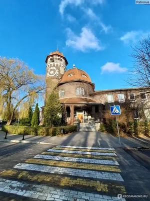 Недорогие авиатуры в Калининград в 2024 году из СПб