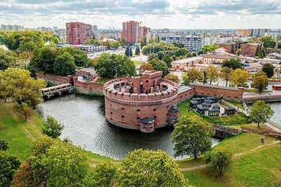 В Калининград на весь день! (Из Светлогорска) © цена и отзывы 2023 года •  Travel Mania