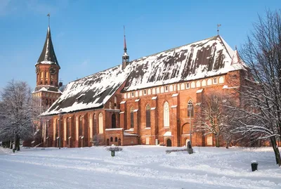 Калининград в декабре фото фотографии