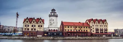 Новый год в Калининграде 2024: где встретить и куда сходить на новогодние  праздники — Суточно.ру